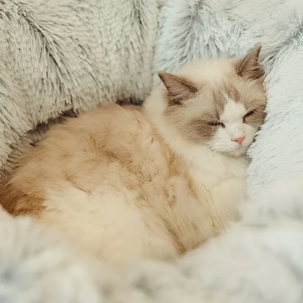 Winter Warm Cat Cave Soft Foldable Cat House Deep Sleeping Cat Tunnel Bed Pet Sleeping Bed Long Plush for Cats and Small Dogs - Image 4